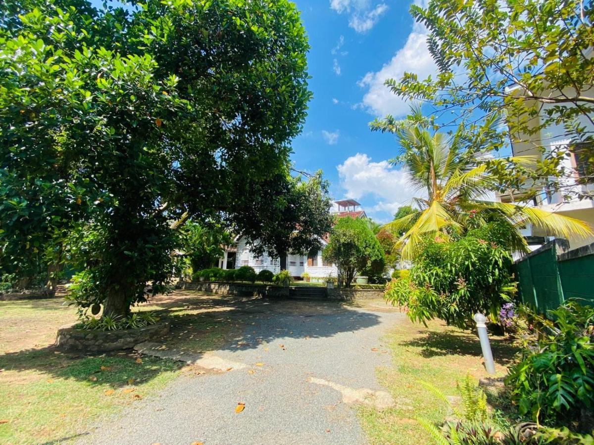 Colonial Bungalow Тангалла Экстерьер фото